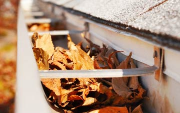 Scrapsgate gutter cleaning companies