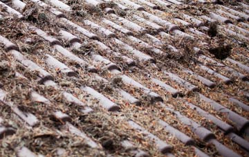 Scrapsgate roof cleaning companies