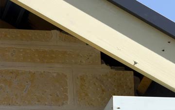 soffit repair Scrapsgate